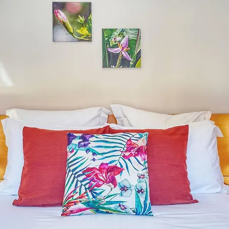 Vilamar 2 - Madeira Group * 卡列塔